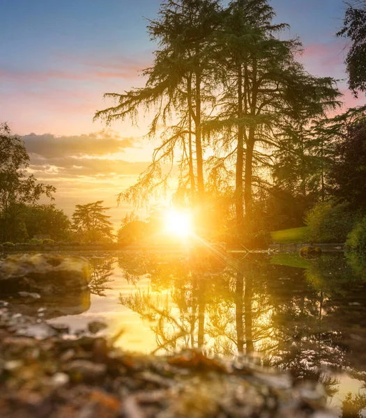 Die Letzten Sonnenstrahlen Die Sich Auf Einem Teich Park Spiegeln — Stockfoto