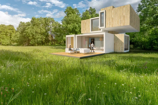 田舎の大きな現代的な家の3Dレンダリング — ストック写真