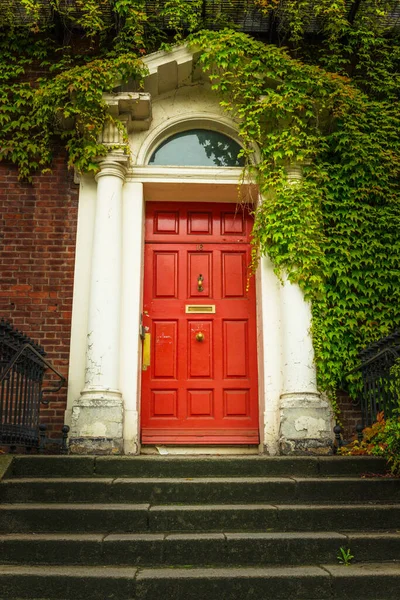 Entrada Edificio Cubierto Hiedra Dublín — Foto de Stock