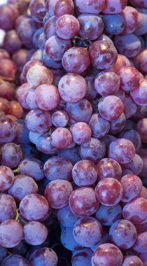 kırmızı üzüm arka plan