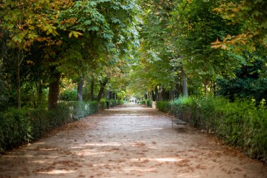 Sonbahar Park'ta