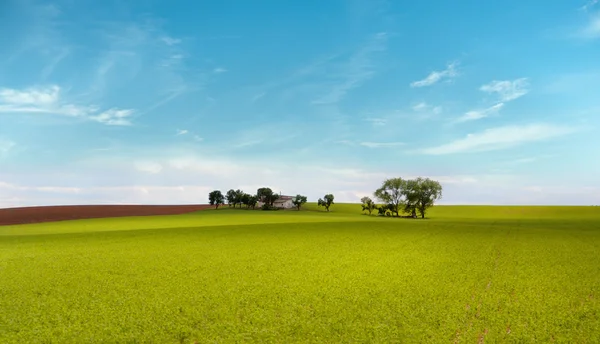 Casa em la mancha — Fotografia de Stock