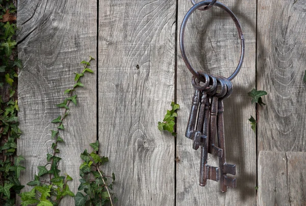 Ancient key ring, rustic garden — Stock Photo, Image