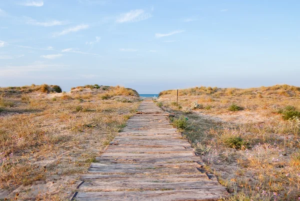 Ścieżka do plaży — Zdjęcie stockowe