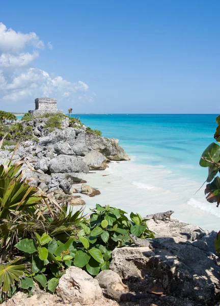 Tropical beach with ruins — Stock Photo, Image