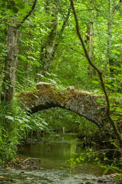 Festői régi híd — Stock Fotó