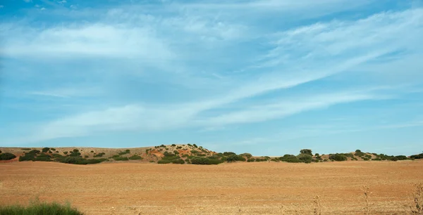 Mancha-Landschaft — Stockfoto