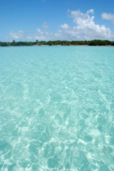 Tropical sea — Stock Photo, Image