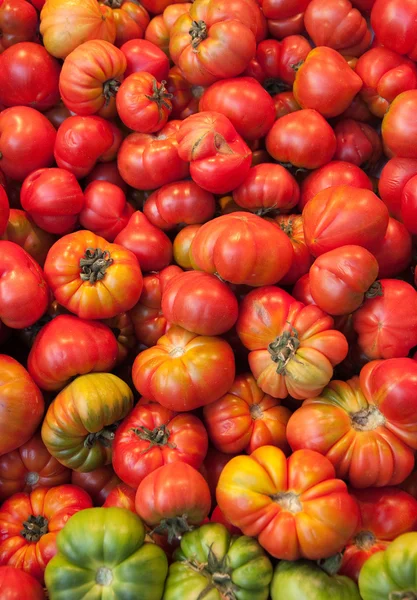 Garden tomatoes background — Stock Photo, Image