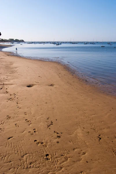 Low tide — Stock Photo, Image