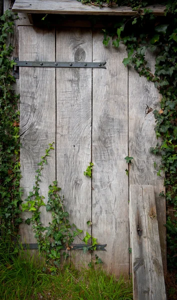 Puerta del cobertizo viejo — Foto de Stock