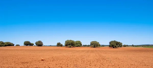 Tierra roja española — Foto de Stock