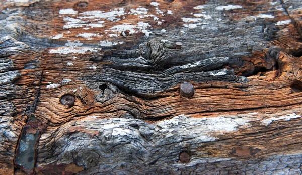 Close up on old wooden post — Stock Photo, Image