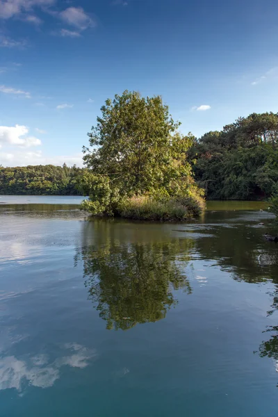 Park pond — Stock Photo, Image