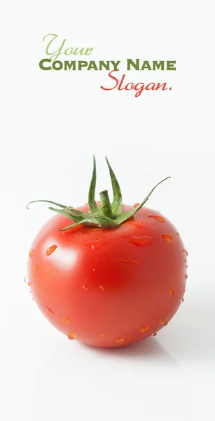 Moist tomato — Stock Photo, Image