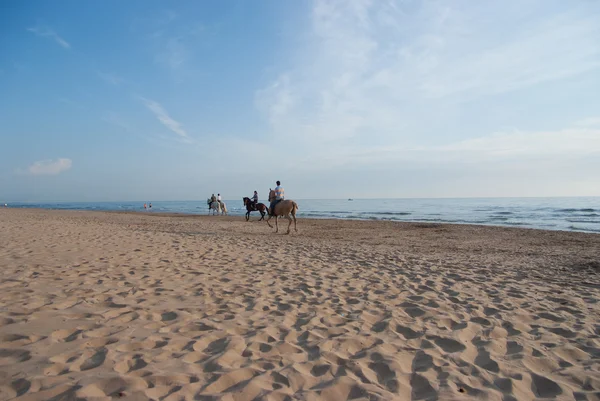 Montar a caballo en la playa —  Fotos de Stock