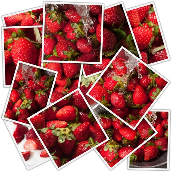 Strawberries collection — Stock Photo, Image