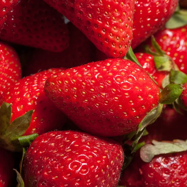 Strawberry makro en — Stockfoto