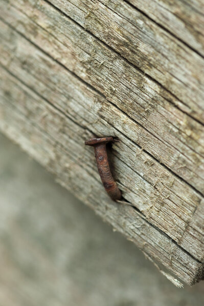 Wood and nails