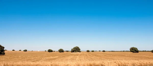 Arid Spanish landscape — Stock Photo, Image