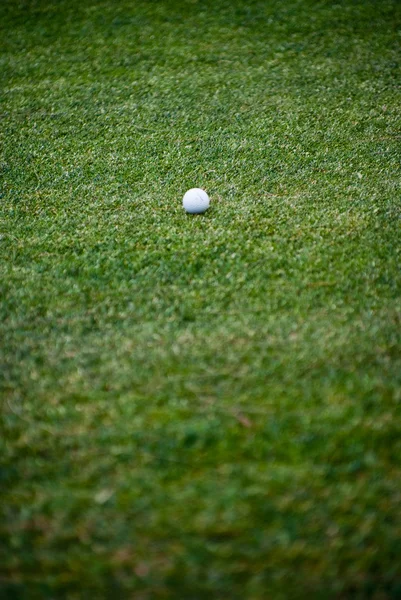 Μπάλα γκολφ στο πράσινο — Φωτογραφία Αρχείου