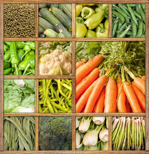 Vegetable collection — Stock Photo, Image