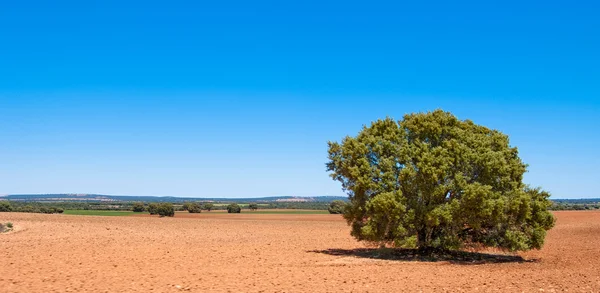 Red Spanish land — Stock Photo, Image