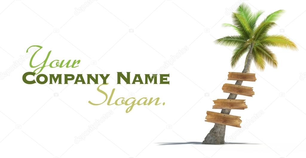 Palm tree with wooden signs