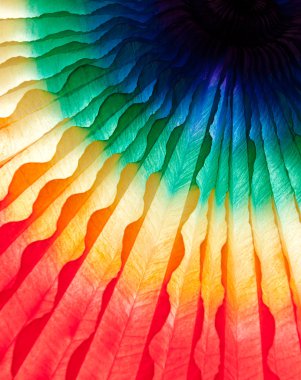 Kağıt parti dekorasyon vuruşta kapatın