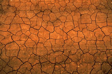 Dry cracked earth texture clipart