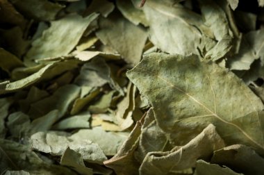 kurutulmuş köri yaprakları