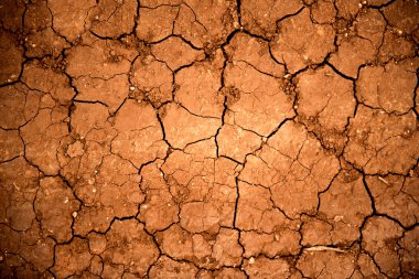 Dry cracked earth texture clipart