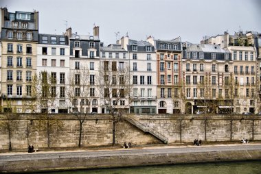 Ile de la cite Seine Nehri