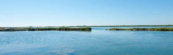 Estuário — Fotografia de Stock