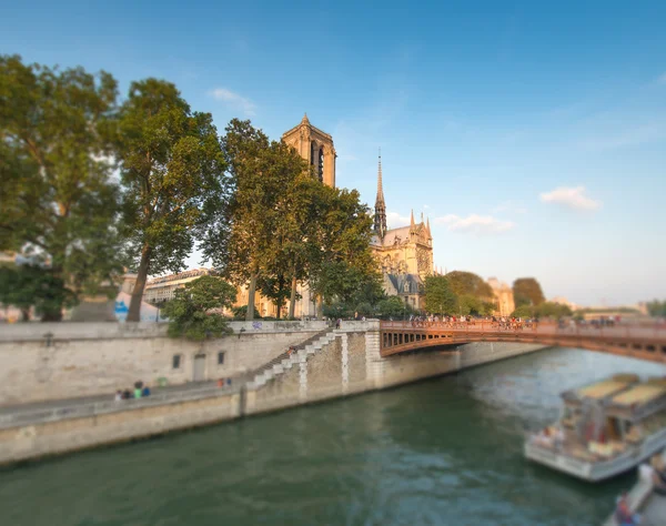 Notre dame de Paris — Stok fotoğraf