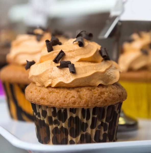 Leopard cupcake — Stock Photo, Image