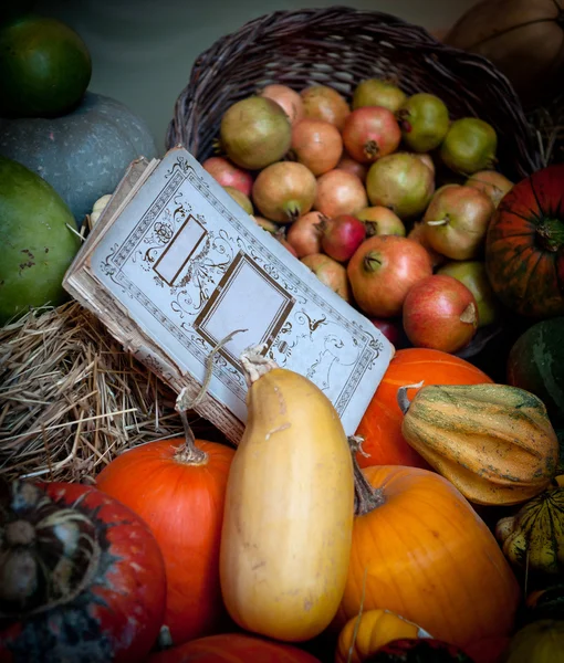 Autumn vegetables — Stock Photo, Image