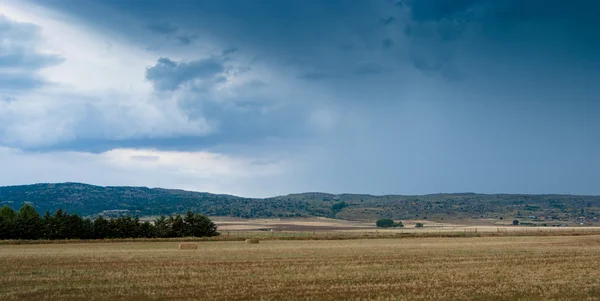 Spaanse tarwe velden — Stockfoto