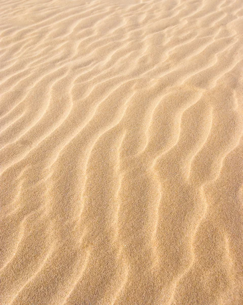 Sonne küsste Sand — Stockfoto
