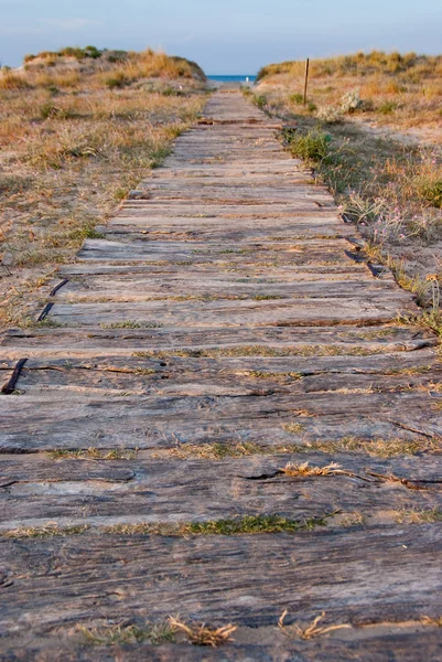 Coastal path — Stock Photo, Image