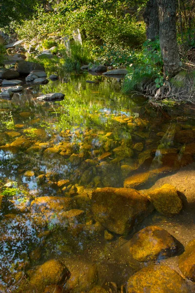 Nyugodt folyó — Stock Fotó