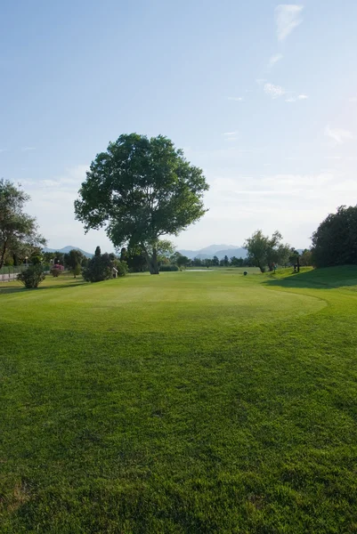 Golfplatz — Stockfoto