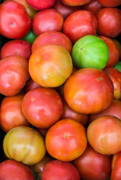 Tomates de salada — Fotografia de Stock