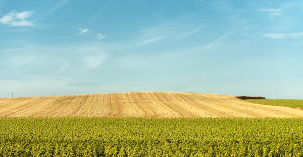 Campos espanhóis — Fotografia de Stock