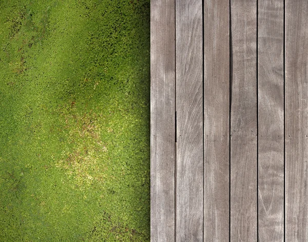 Deck and green ground — Stock Photo, Image