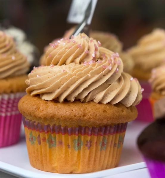 Cream and pink cupcake — Stock Photo, Image