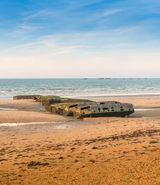 Praia de ouro — Fotografia de Stock