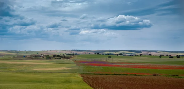 Wiosną pola — Zdjęcie stockowe