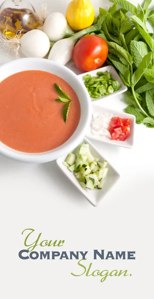 Gazpacho and ingredients — Stock Photo, Image