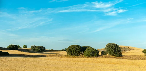 Tierras en La Macha — Foto de Stock